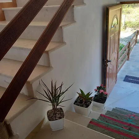 Vila Dean Penzion Berat