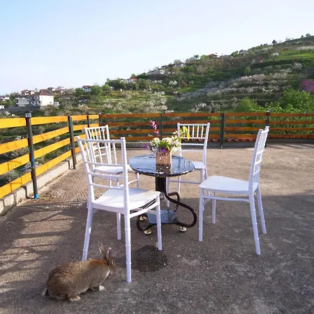 Vila Dean Penzion *