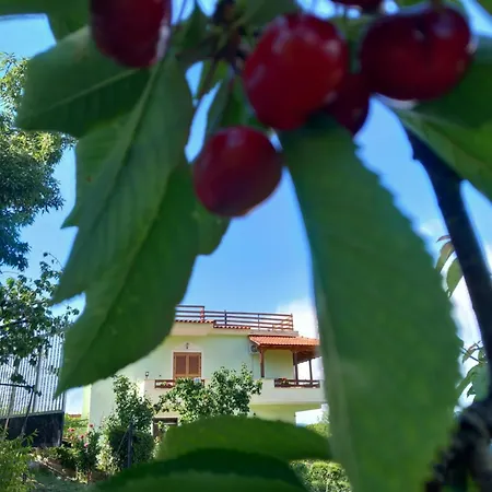Vila Dean Pensionat Berat