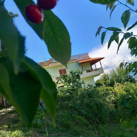 Vila Dean Penzion Berat