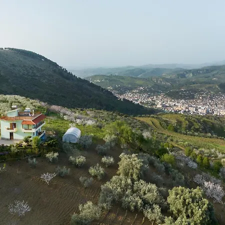 Vila Dean Guest house
